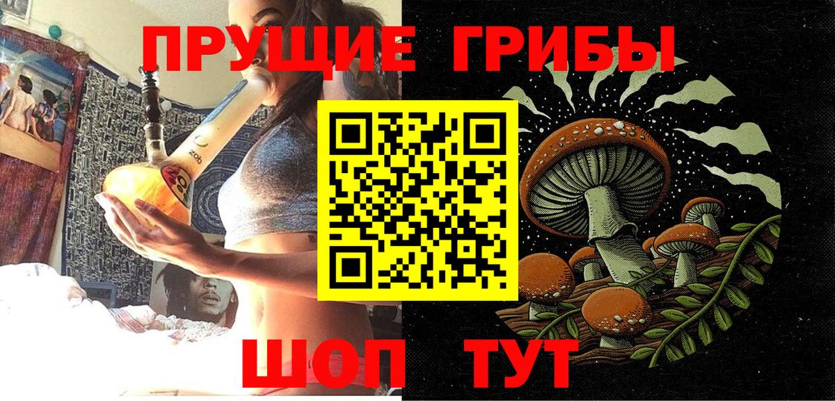 Сызрань  Псилоцибиновые грибы мицелий  Вход с VPN  Псилоцибиновые грибы GOLDEN TEACHER 